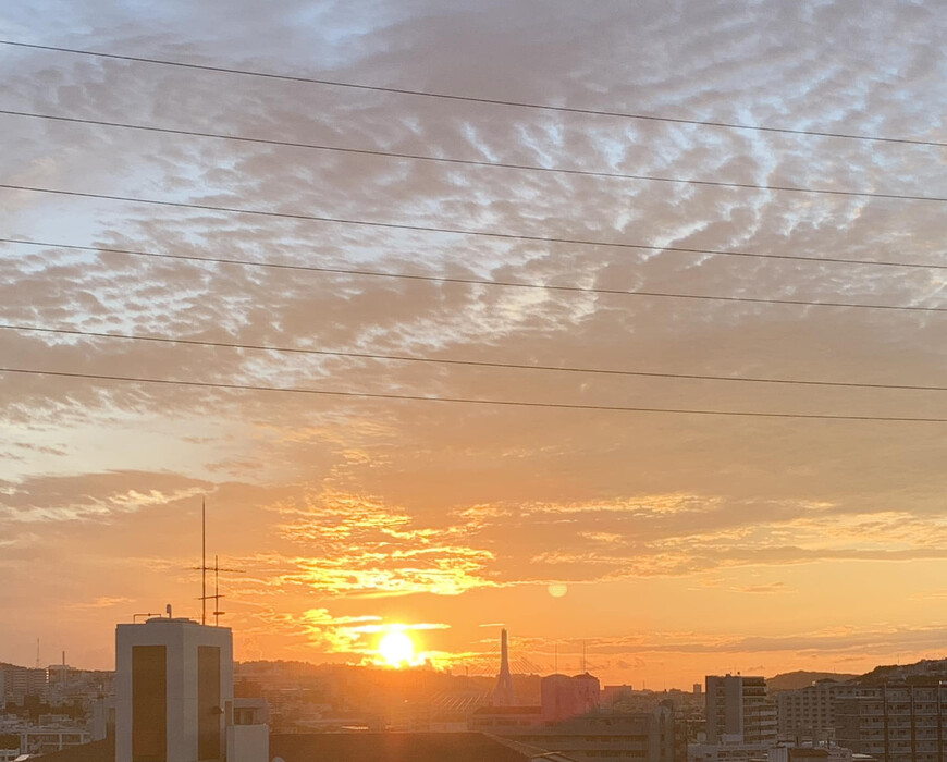 画像232