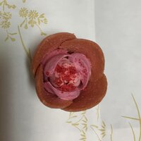 画像236