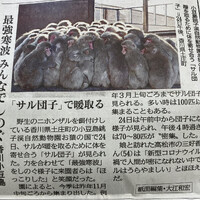 画像257