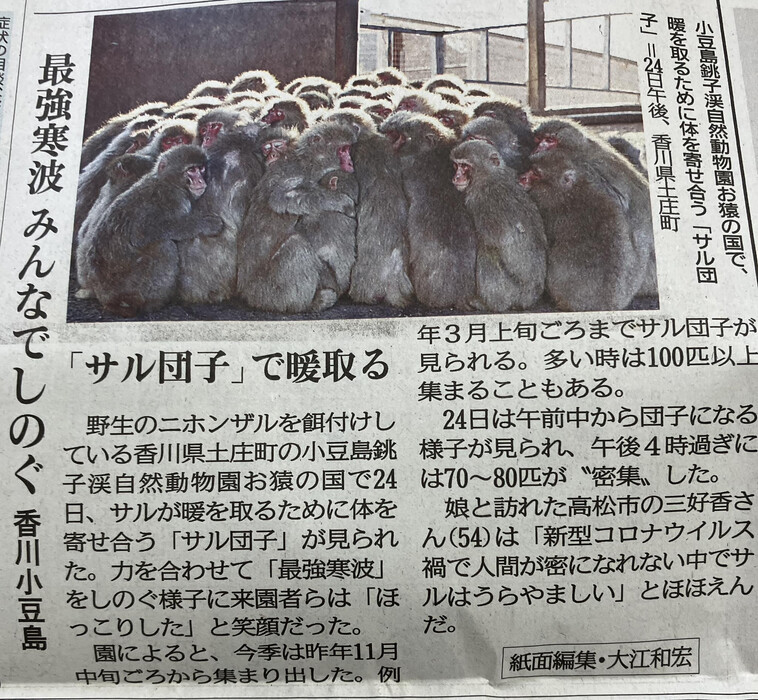 画像257