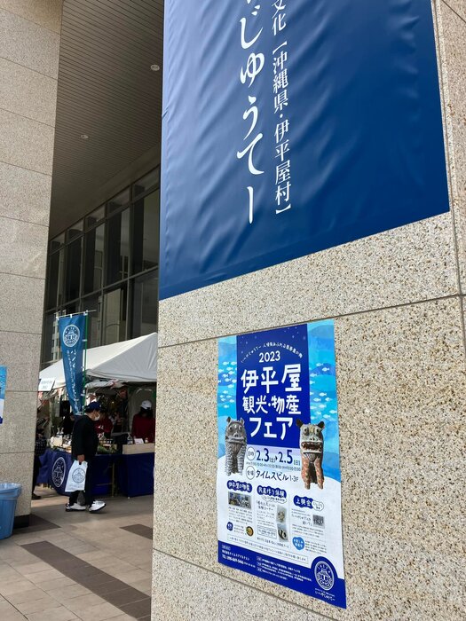 画像261