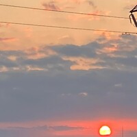 画像282
