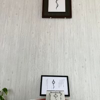 画像287