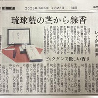 画像296
