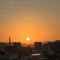 画像431