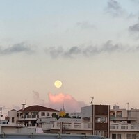 画像443