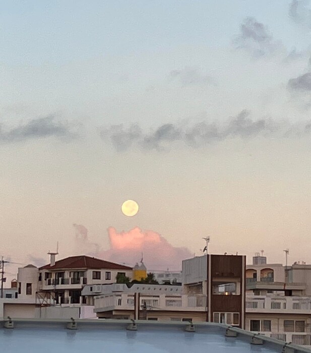 画像443