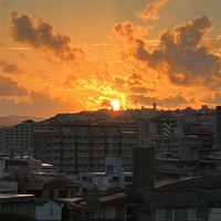 画像444