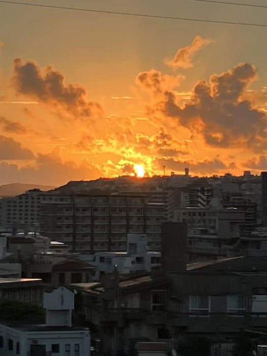 画像444
