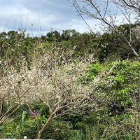 画像504