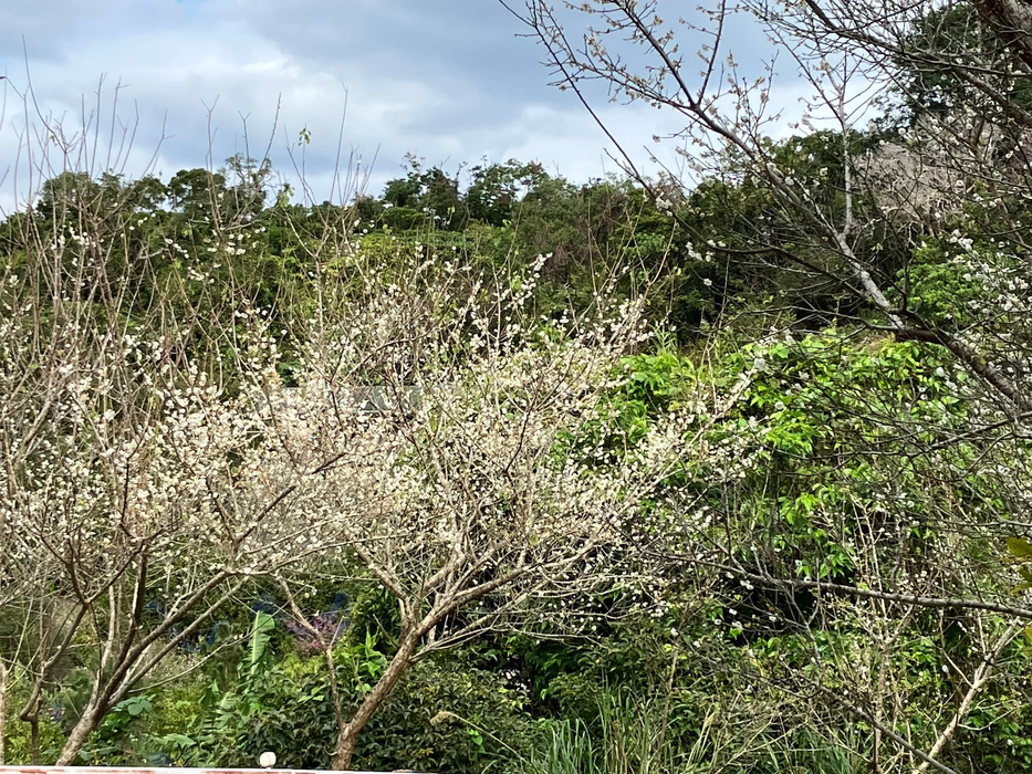 画像504