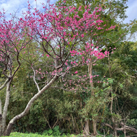 画像505