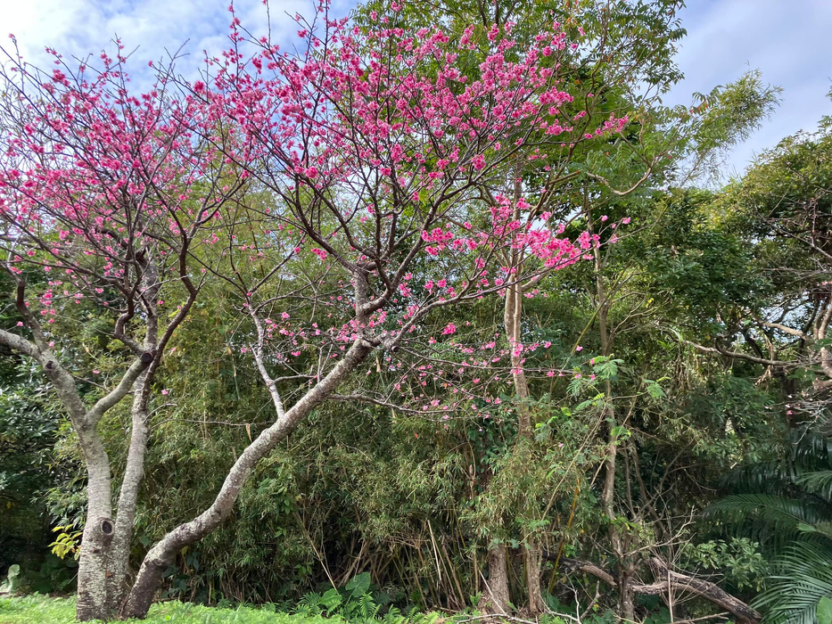 画像505