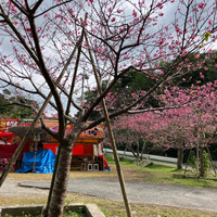 画像506