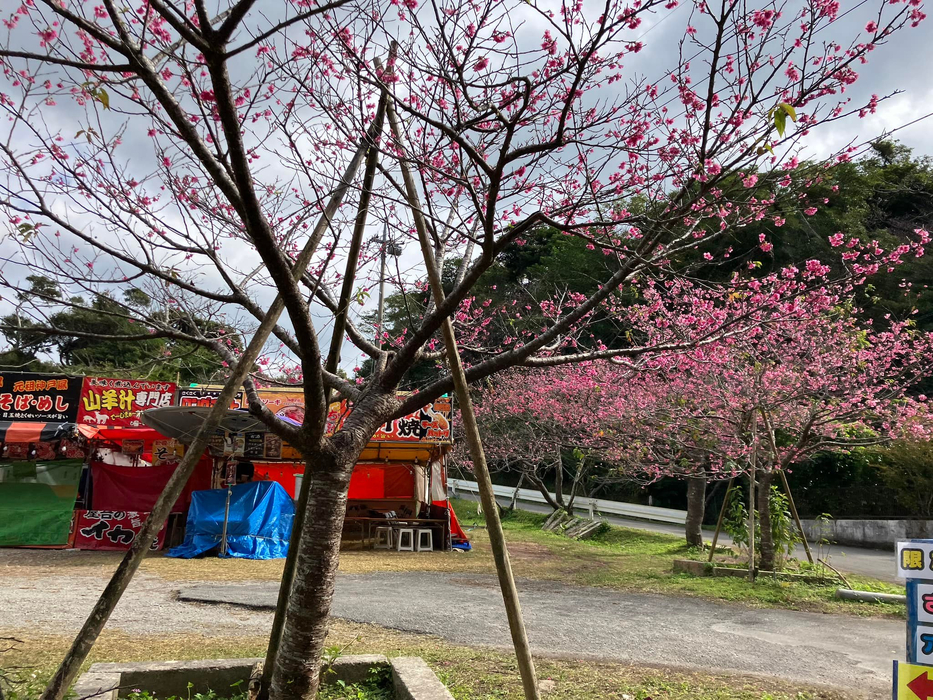 画像506