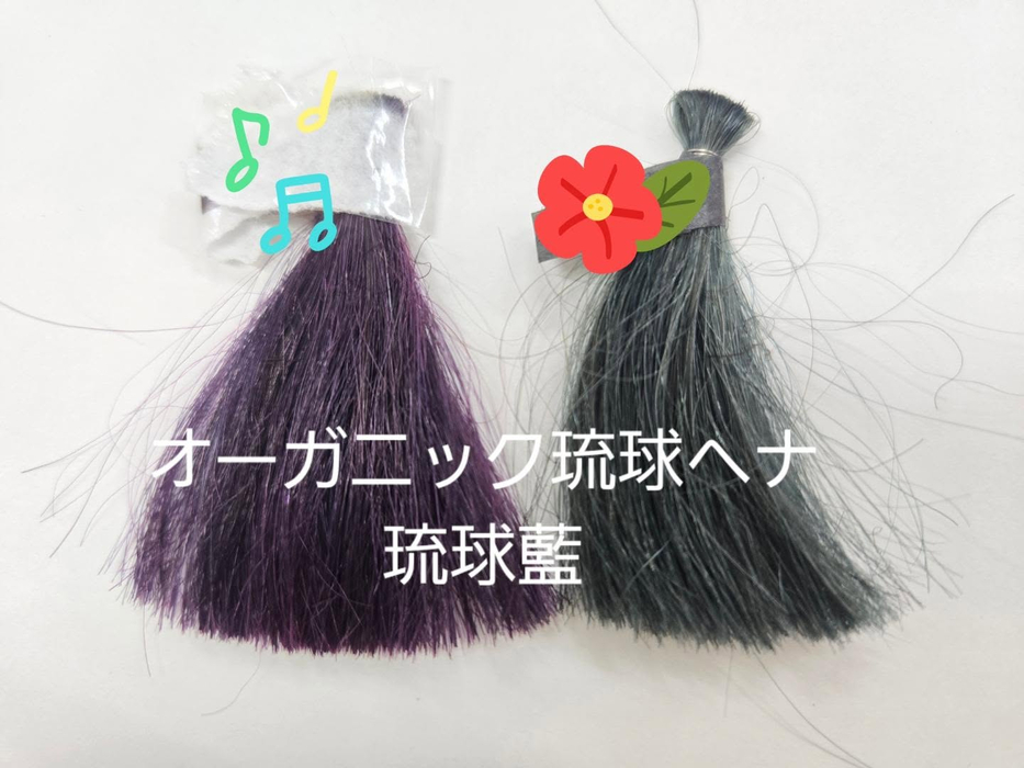 画像533