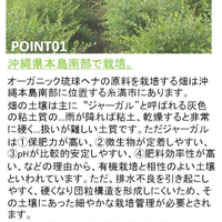 画像591