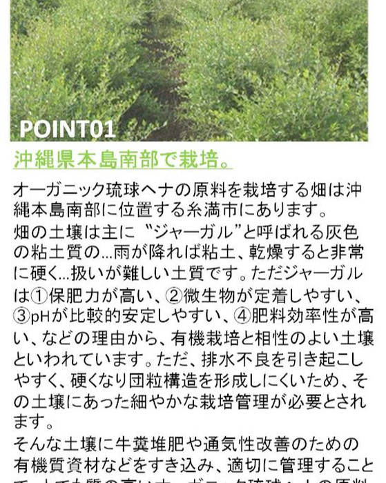 画像591