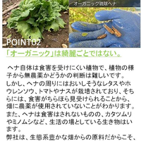 画像594