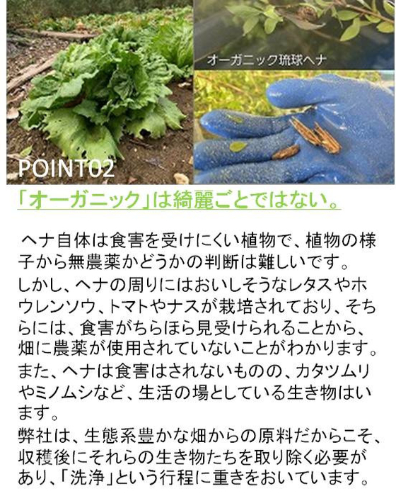 画像594