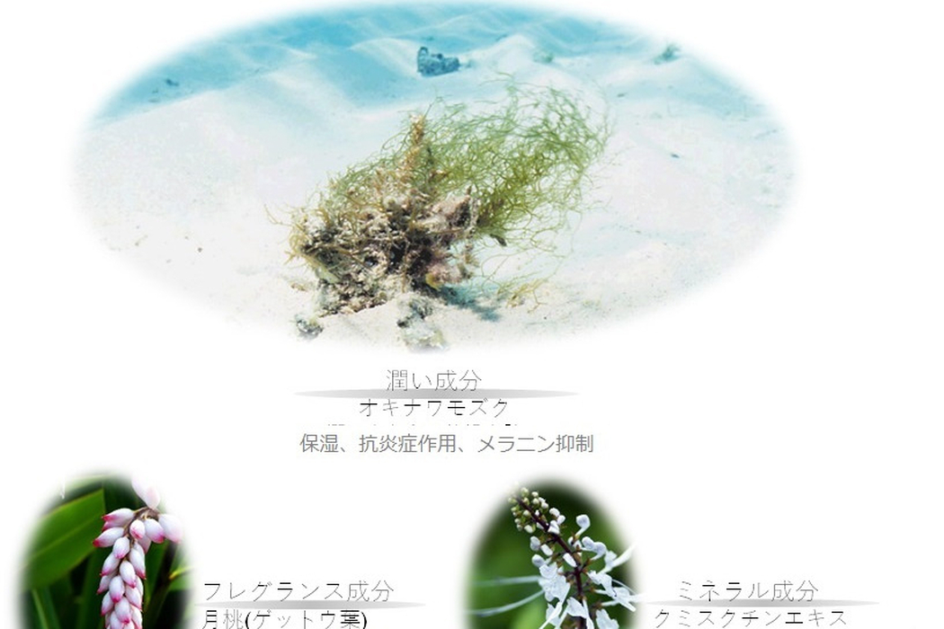 画像651