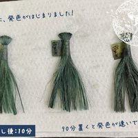 画像679